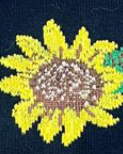 گل افتابگردان